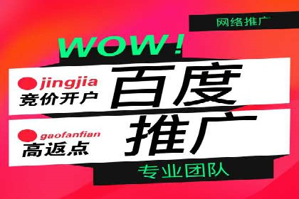 百度网络推广案例分享：低成本打造爆款品牌，助力企业腾飞