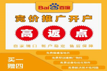顶级SEM服务公司案例解析